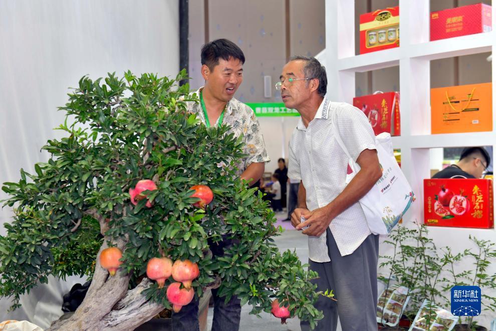 赌钱游戏